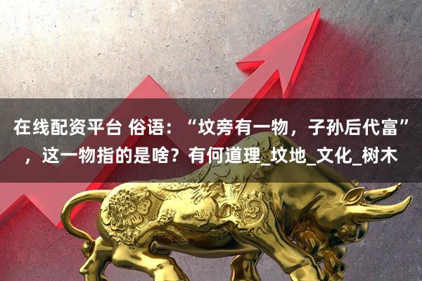 在线配资平台 俗语：“坟旁有一物，子孙后代富”，这一物指的是啥？有何道理_坟地_文化_树木